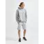 Sweatshirts Craft CORE CRAFT HOOD M - 1910677